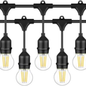 Outdoor String Lights, Electric Plug-In Festoon Lights 10 Meter 20 LED Bulbs, Outdoor Waterproof Decorative Hanging Light String for Patio Garden Porch Yard (10M with G45 Clear)