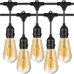 Outdoor String Lights, Electric Plug-In Festoon Lights 10 Meter 20 LED Bulbs, Outdoor Waterproof Decorative Hanging Light String for Patio Garden Porch Yard (10M with ST64 Amber)