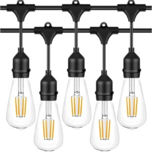 Outdoor String Lights, Electric Plug-In Festoon Lights 10 Meter 20 LED Bulbs, Outdoor Waterproof Decorative Hanging Light String for Patio Garden Porch Yard (10M with ST64 Clear)